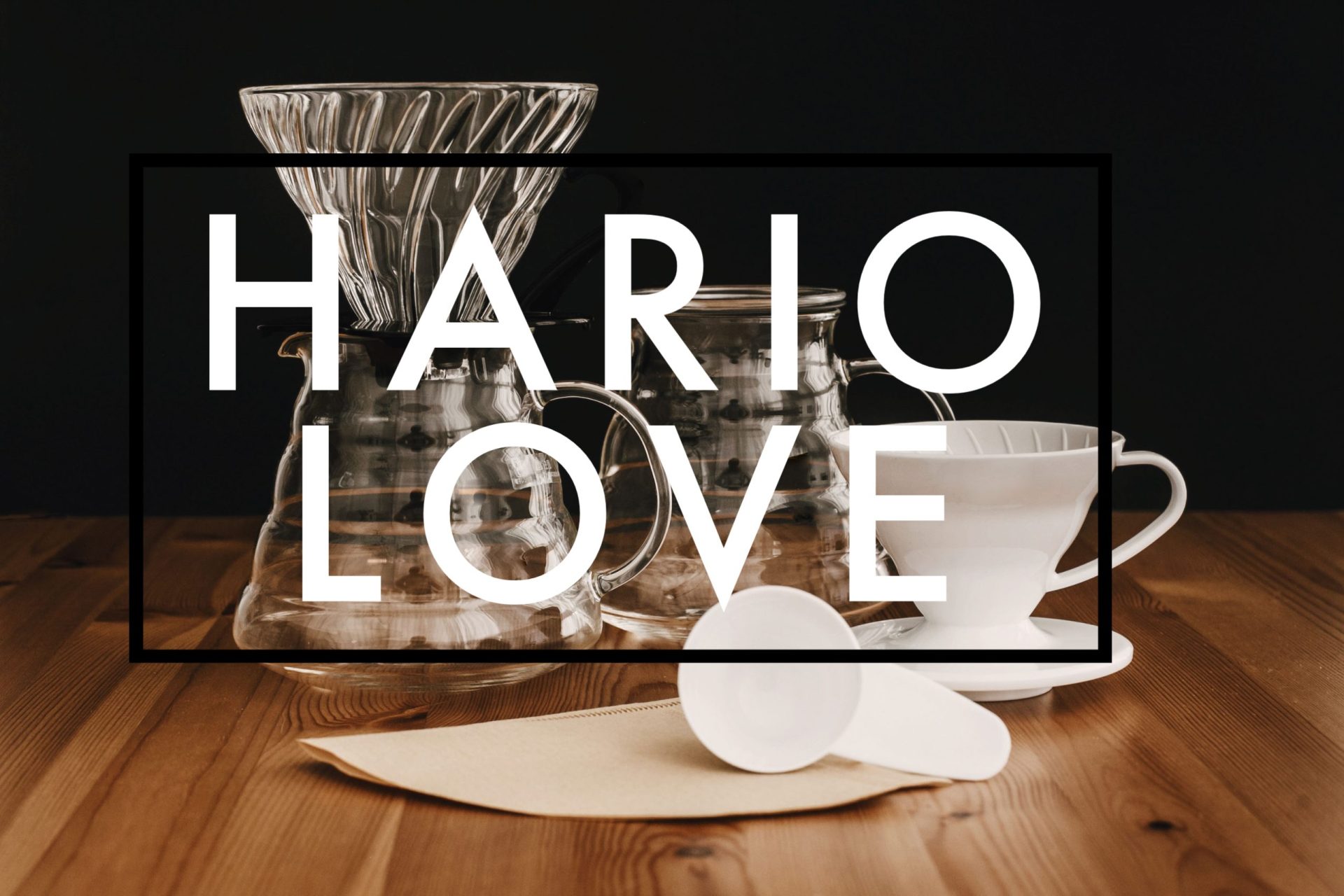 HARIO（ハリオ）のおすすめ商品１１選