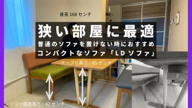 徹底レビュー】スノーピークのワンアクションテーブルを自宅で