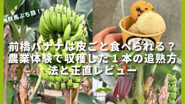 【写真付き】前橋バナナは皮ごと食べられる?農業体験で収穫した1本の追熟方法と正直レビュー